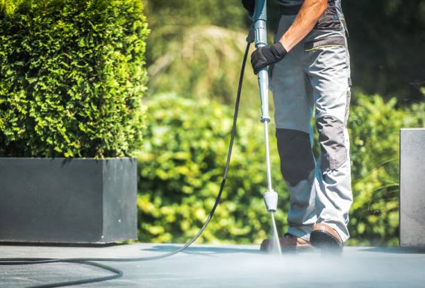Best Rust Removal  in Manana, HI
